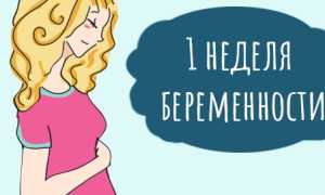 1 неделя беременности