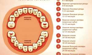 Прорезывание зубов у детей