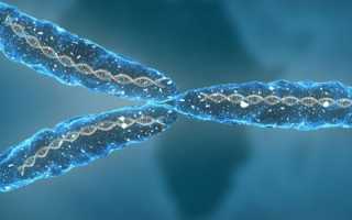 Хромосомные мутации — причины возникновения и виды, связь с генными и геномными изменениями