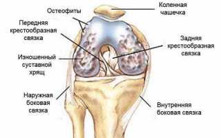 Народные средства от суставов колен