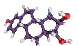 Эстриол и его роль в организме