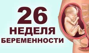 26 неделя беременности