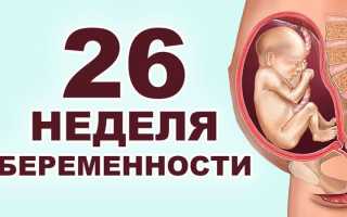 26 неделя беременности