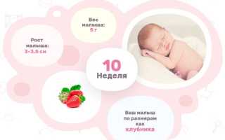 10 неделя беременности