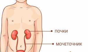 Заболевания мочеполовой системы у детей