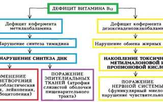 Дефицит витамина В12 — причины, симптомы и лечение
