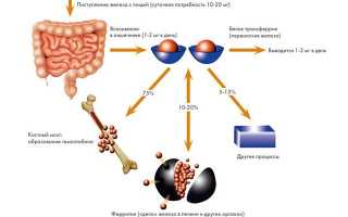 Препараты железа для лечения взрослых и детей
