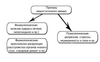 Повышение либидо у мужчин — лучшие медикаментозные и народные средства, БАДы и упражнения