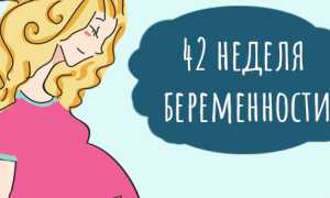 42 неделя беременности