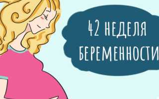 42 неделя беременности