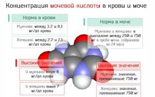 Мочевая кислота в крови — значения нормы и причины повышенного уровня