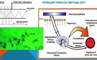 Биорезонансная терапия — суть метода и сферы применения