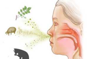 Какими средствами можно помочь при заложенности носа и насморке