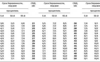 Определение срока беременности