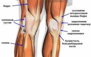 Повреждение связок коленного сустава как лечить