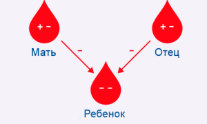 Резус-фактор ребенка