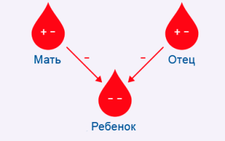 Резус-фактор ребенка