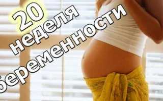 20 неделя беременности