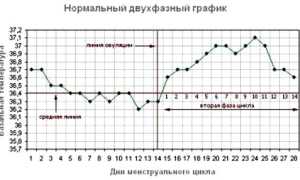 График базальной температуры