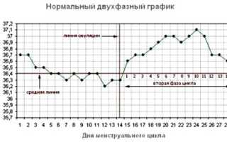 График базальной температуры