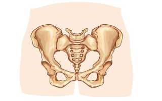 Таз при беременности