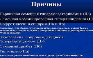 Чистая гиперхолестеринемия — причины и признаки болезни, диагностика, способы терапии и профилактика