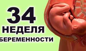 34 неделя беременности