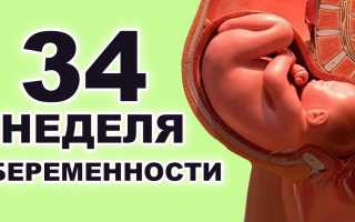 34 неделя беременности