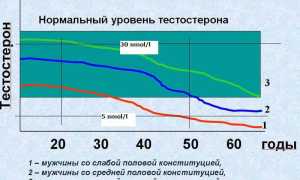 Норма тестостерона у мальчиков, юношей, взрослых мужчин и стариков